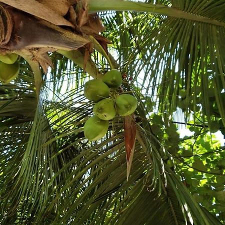 Tiwi Beach Resort & Spa Mombasa Ngoại thất bức ảnh