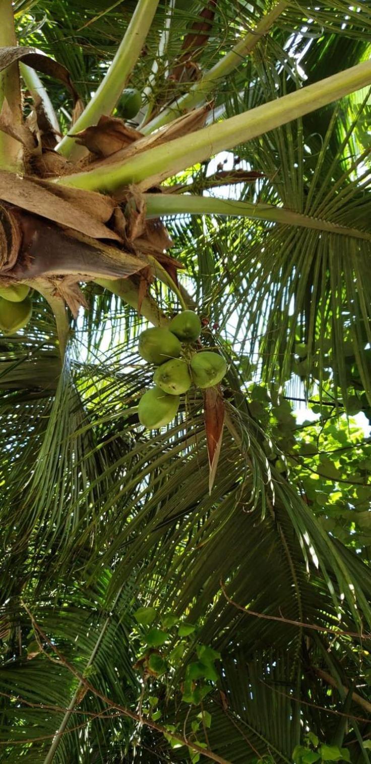 Tiwi Beach Resort & Spa Mombasa Ngoại thất bức ảnh
